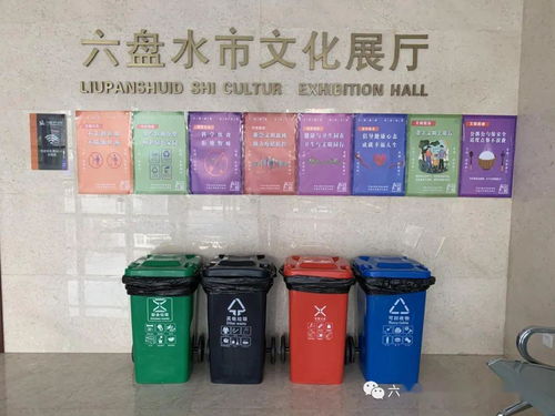 六盤(pán)水市文化館持續(xù)推進(jìn)生活垃圾分類(lèi)工作，助力城市生活垃圾經(jīng)營(yíng)服務(wù)提質(zhì)增效